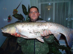 Огромного белого амура морозовчанин поймал на реке Цимла