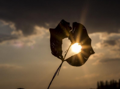 Ничуть не осеннюю погоду обещают морозовчанам в воскресенье, 1 сентября