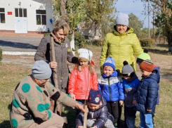 Более 700 саженцев деревьев высадили в Морозовском районе в рамках осеннего Дня древонасаждения