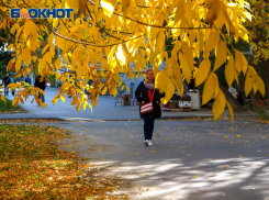 Прохладнее и ветренее будет в Морозовске в четверг