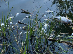 Экология Морозовска и Морозовского района всерьёз начинает беспокоить всё большее число жителей