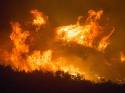 Чрезвычайная пожароопасность ожидается в Ростовской области в начале сентября