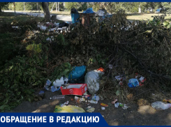 «Всё это будет плавать и квакать!» - морозовчанка попросила коммунальные службы чаще убирать мусор на улице Руднева возле баков