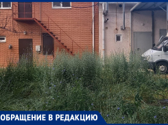Трава уже выше роста человека! - морозовчанка