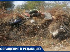 Кто ответственный за уборку? – морозовчанка о горах мусора на северном кладбище