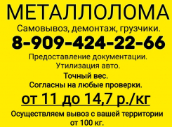 Вы можете получить от 11 до 14,7 рублей за килограмм металлолома