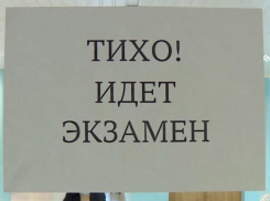 Дявятиклассники Морозовского района прошли итоговое собеседование по русскому языку