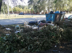 Кто виноват и что делать: Регоператор дал подробные комментарии по поводу мусорных залежей на улице Руднева в Морозовске