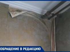 Морозовчанка в отчаянии: из-за протекающей крыши многоквартирного дома стены в квартире покрылись грибком и испортилась мебель