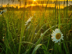 До 27 градусов тепла обещают морозовчанам в четверг, 25 мая