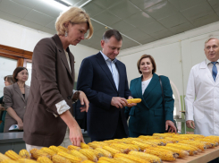 В Ростовской области удвоили финансирование проектов по развитию сельских территорий