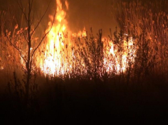 Высокая пожароопасность грозит Морозовскому району ландшафтными и лесными пожарами