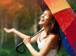 Чреда легких дождей начнется в четверг 