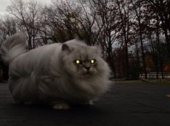 Среда в Морозовске обещает быть без осадков