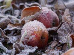 Синоптики обещают заморозки в ночь с 11 на 12 октября