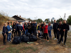 Месячник чистоты в Морозовске завершился общегородским субботником