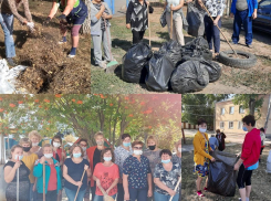Школы и детские сады Морозовска активно поучаствовали в общегородском суботнике