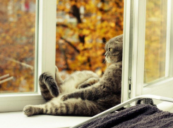 С 1 октября температура воздуха в Морозовске постепенно начнет понижаться