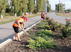 Порядок наводят в Морозовске