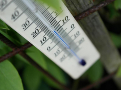 Похолодание до +15 обещают синоптики в пятницу, 6 мая