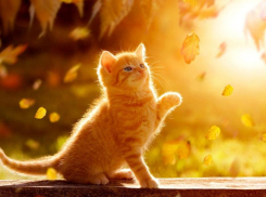 Солнечную погоду без осадков обещают морозовчанам в четверг