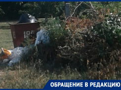 Спиленные деревья в Морозовске лежат с марта рядом в мусорным баком 