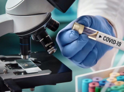 5 июня: подтвержденных случаев COVID-19 в Морозовском районе по-прежнему пятнадцать