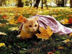 Всего +23 градуса тепла обещают синоптики в середине недели