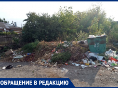 Вот такая «красота» напротив нашего дома! - жительница улицы Советской Милиции