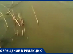 Река Быстрая опять грязная и воняет, - председатель СНТ «Заря» снял новое видео