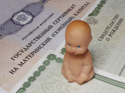 Размер ежемесячной выплаты из средств материнского капитала в Ростовской области увеличили на 543 рубля