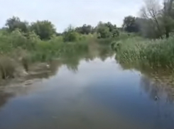 «Такое всё плачевное»: очередное видео об умирающей реке Быстрой снял морозовчанин Александр Дутов