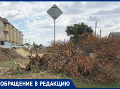 «Ветки бросили, яму оставили»: жители улицы Пламя Революции и просто проезжающие водители-морозовчане возмущены