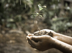 10 мая в Морозовске тоже будет дождь