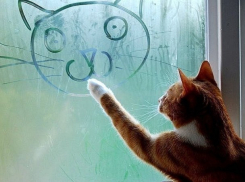 Неделя для Морозовска начнется с дождя и пасмурной погоды