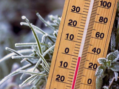 Температура воздуха в Морозовске снова опустится до 0