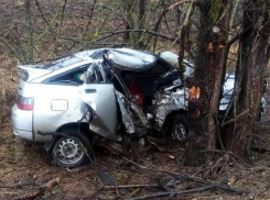 Водитель «двенашки» и его несовершеннолетняя пассажирка погибли в аварии на трассе «Кашары – Морозовск»