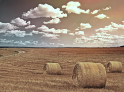 Переменную облачность и до +28 градусов тепла обещают морозовчанам в середине недели