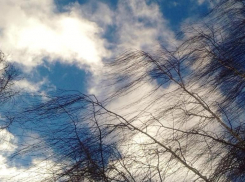 Ветрено, но тепло будет в Морозовске в среду, 15 марта