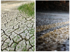 Противоречивый прогноз погоды снова дают синоптики и МЧС