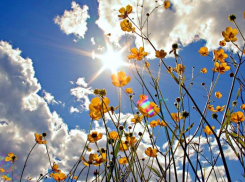 24 июля в Морозовске ожидается переменная облачность и всего +28 градусов тепла