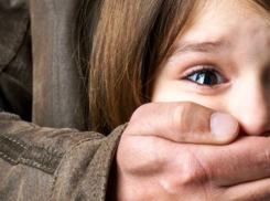 Дочь была похищена прямо со двора, - морозовчанин рассказал, как искал и нашел пропавшую малышку