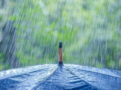 Дождь собьет Морозовску температуру 