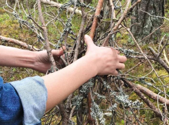 Морозовчанам доходчиво объяснили, когда и как надо выбрасывать крупногабаритный мусор 