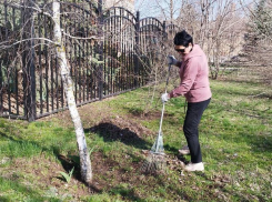 Не вышел на субботник - не жалуйся на грязь: морозовчан зовут на масштабную уборку