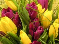 В Морозовске уже несколько дней отмечают 8 марта