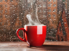 Небольшой дождь и до 6 градусов тепла ожидается в Морозовске 29 ноября