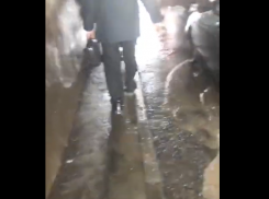 И так каждый день!