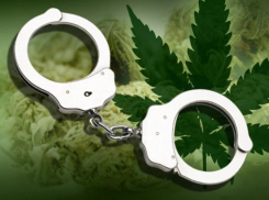 Морозовчанина задержали за хранение дикорастущей конопли