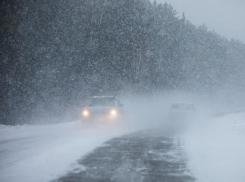 Потепление до +1 градуса и снегопад обещают синоптики в конце рабочей недели